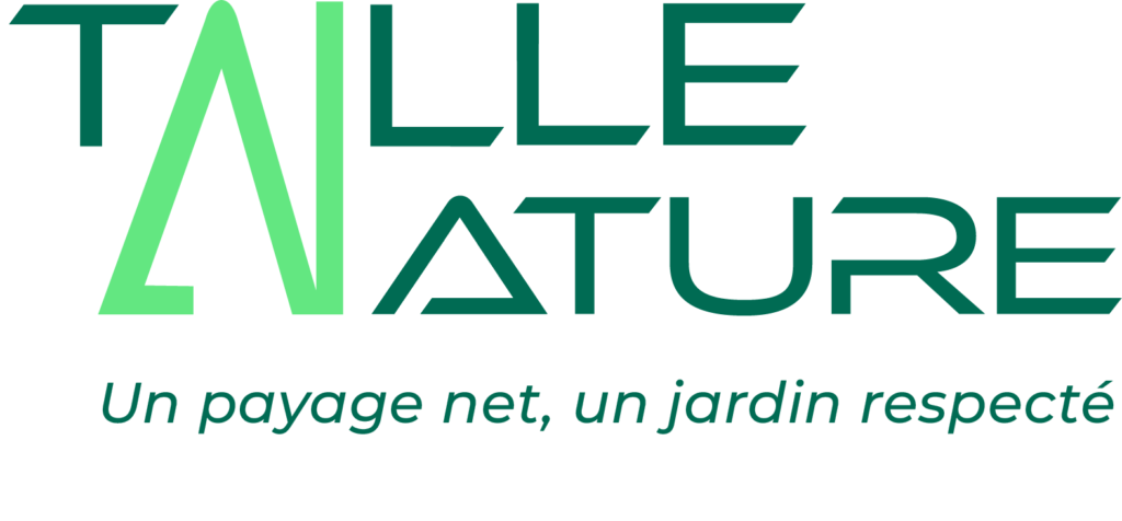 Vi.Graphie identité visuelle Graphiste