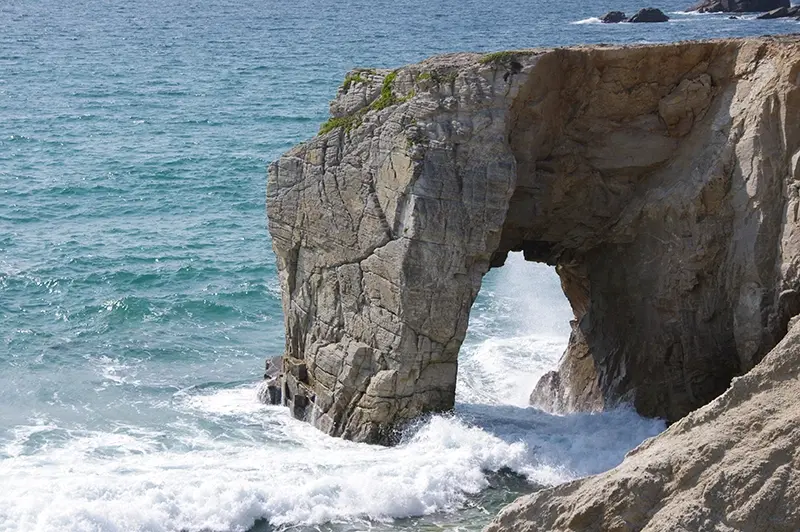 Vi.Graphie Graphiste du Morbihan